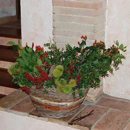 Εξοχικό σπίτι Podere Costa Romana Νάρνη