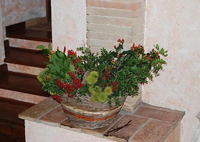 منزل ريفي Podere Costa Romana نارني